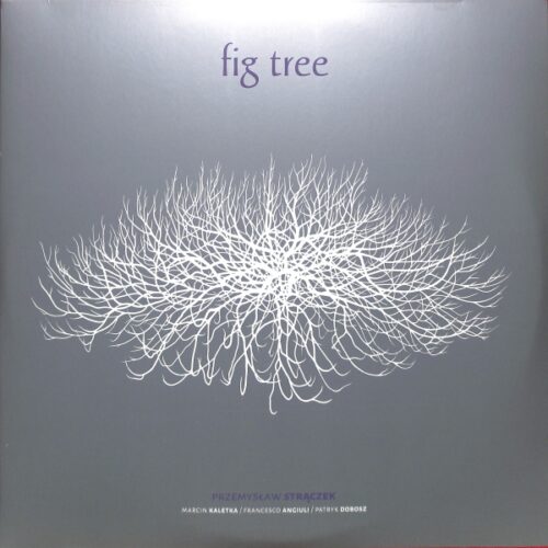 Przemysław Strączek - Fig Tree 2LP EU NEW